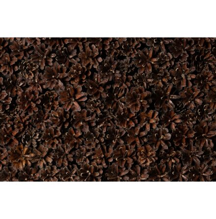 Vggpanel Emotionwood Tallkottar