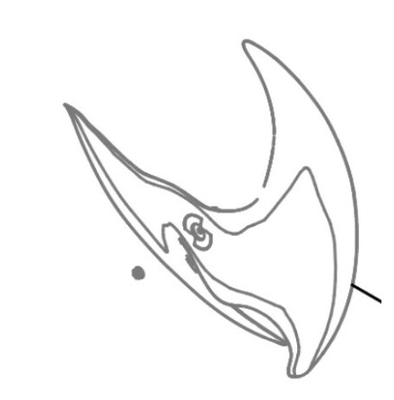 Fl�ktvinge Ute Bosch Compress 8000